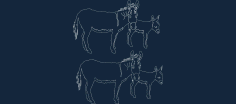 Animal Donkeys Free DXF File