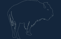 Animals 2.23 Free DXF File