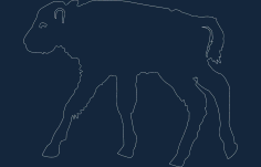 Animals Child Free DXF File