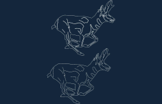 Animals Deer Sitting Free DXF File