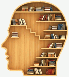 Bookshelf 3ds Cnc Furniture Download Free DXF File