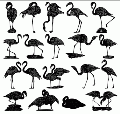 Flamingos Vectors Package Free DXF File