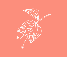 Flower 2 Free DXF File, Free Vectors File