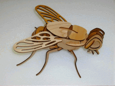Fly Layout For Laser Cutting Free DXF File