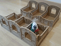 Horse Box Laser Cut Free DXF File