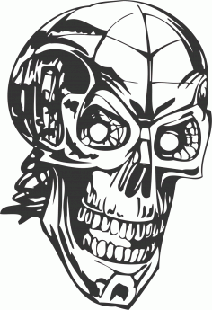 Human Skull Skeleton Free DXF File, Free Vectors File