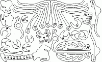 Laser Cut 3d Puzzle Moskito Template Free DXF File