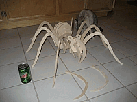 Laser Cut 3d Puzzle Spider Template Free DXF File
