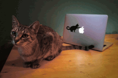 Laser Cut Laptop Sticker Cat 12x7cm Free DXF File