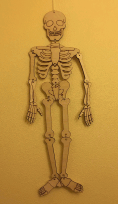 Laser Cut Skeleton Free Vector File
