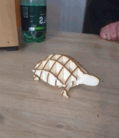 Plywood 3d Puzzle Turtle Pen Organizer Laser Cut Free Vector File