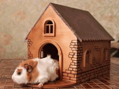 Rabbit House Free DXF File, Free Vectors File