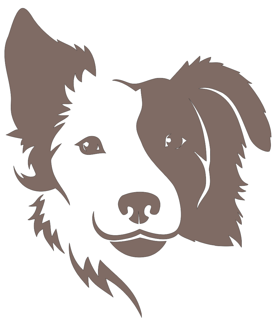 Border Collie Dog Free DXF File