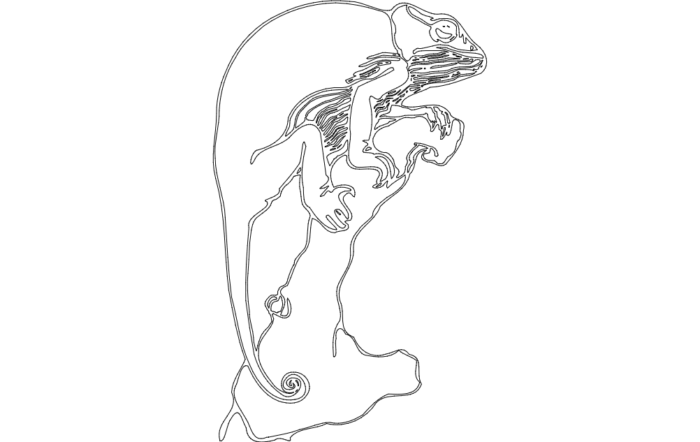 Climbing Lizard Free DXF File