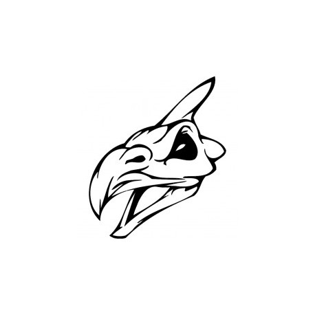 Horror Skull Bird Head 012 Free DXF File