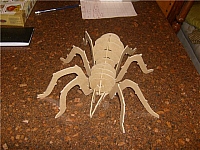 Laser Cut 3d Puzzle Spider Insect Template Free DXF File
