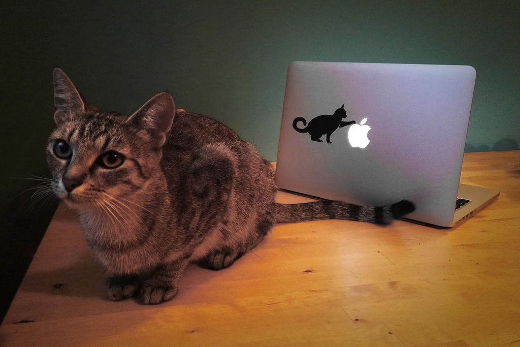 Laser Cut Laptop Sticker Cat 12x7cm Free DXF File