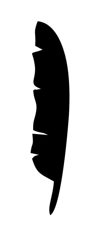 Laser Cut Unfinished Feather Shape Silhouette Free Vector File