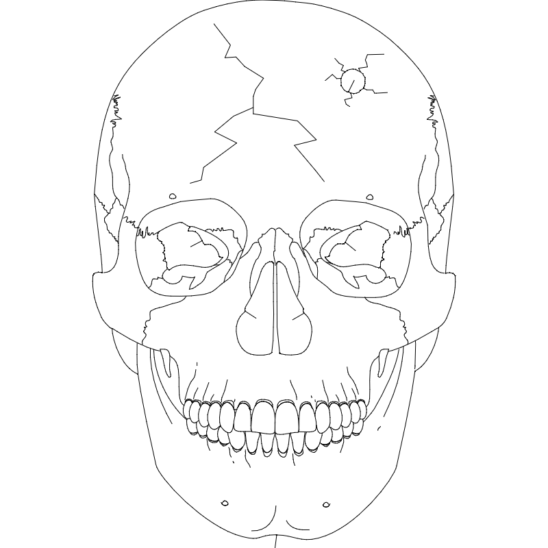 Skull 2 Free DXF File