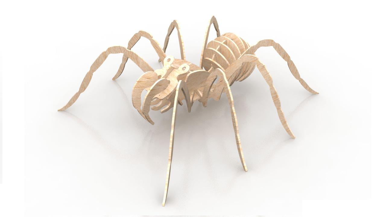 Spider 3mm 3d Insect Puzzle Free DXF File
